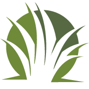 Strive Lawn Aeration