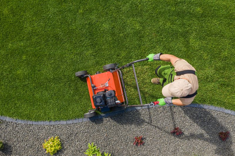 How To Tell When Your Lawn Needs Aeration