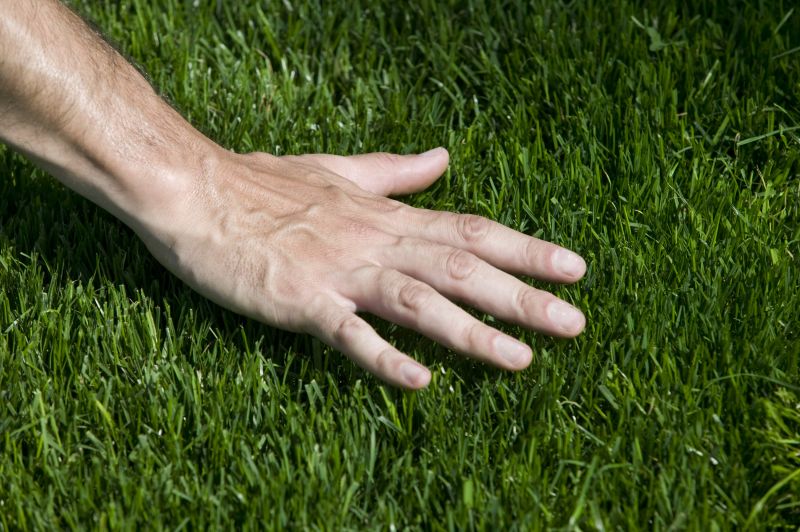 Lawn Replacement in Rockwall, TX