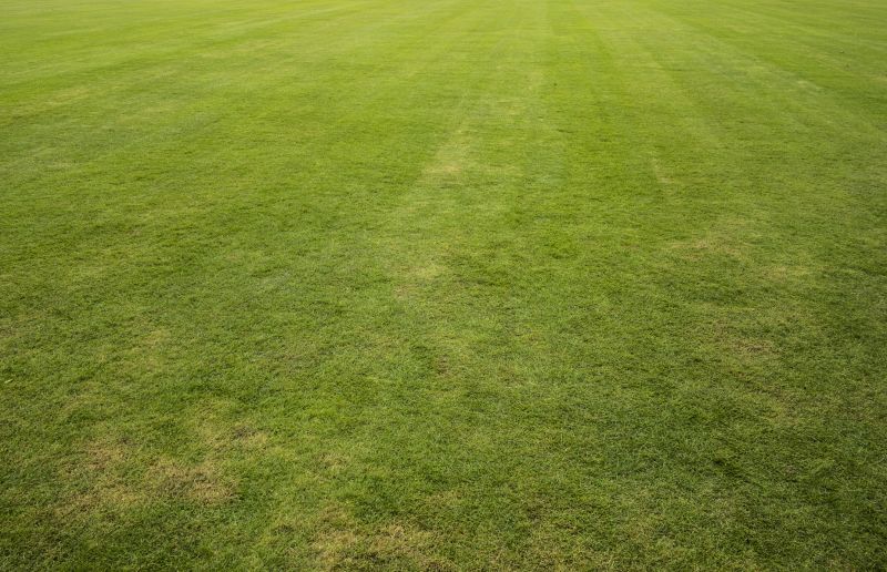 Lawn Sodding in Honolulu, HI