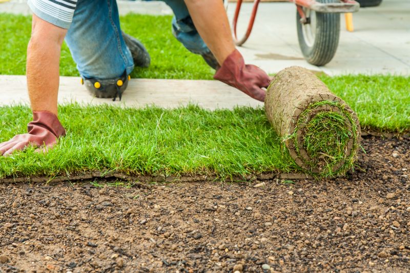 Sod Installation in Aiken, SC