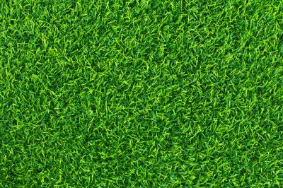 Get a Lush Lawn!